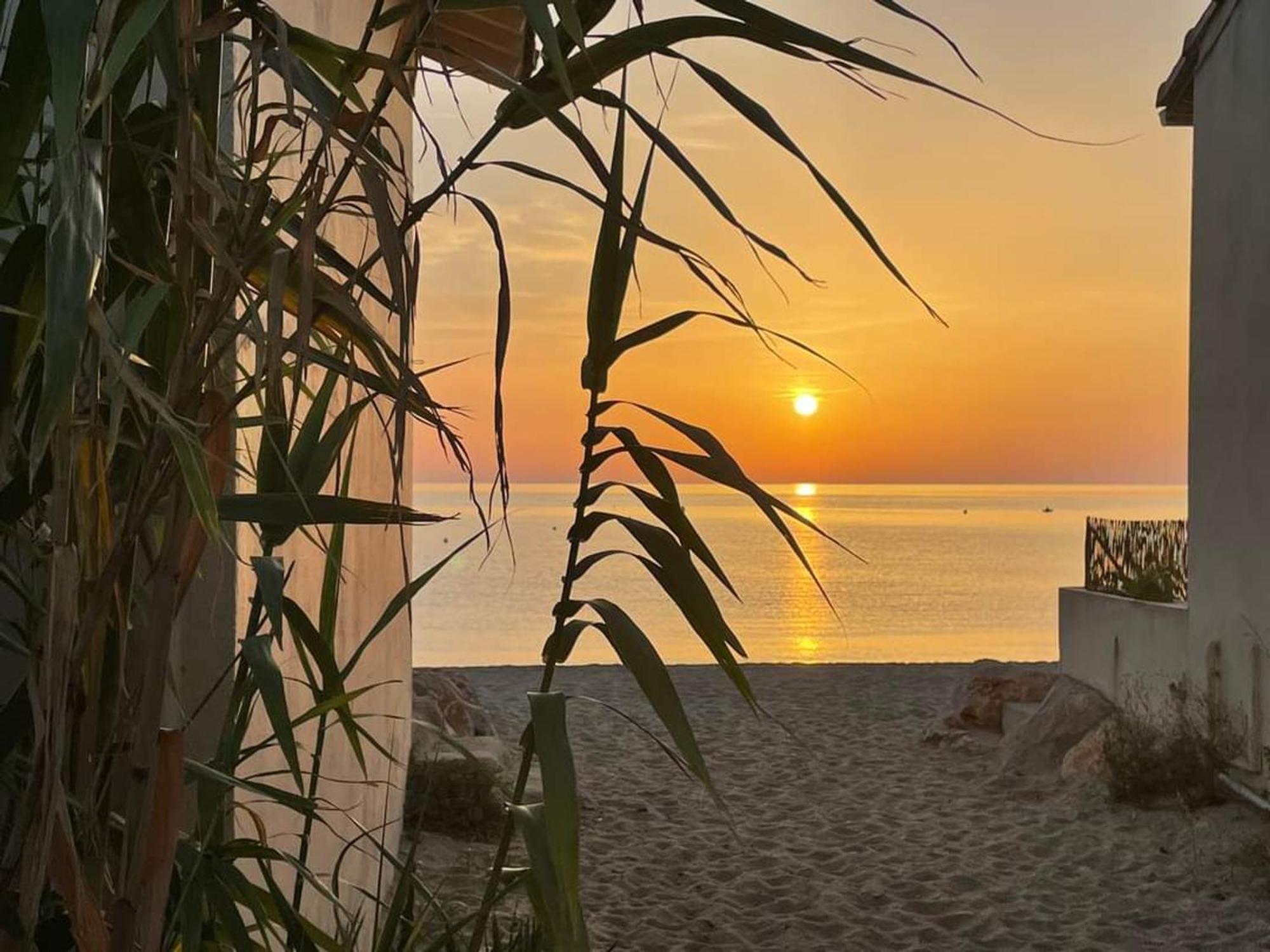 Pavillon 6 Pers A Argeles-Sur-Mer: Piscine, Clim, Parking, Wifi, Proche Plage - Fr-1-776-5 Eksteriør billede